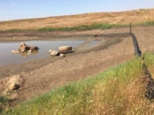 wildlife exclusion fencing